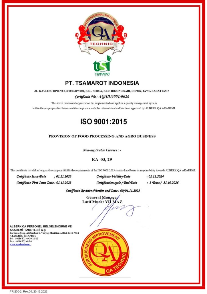iso 9001